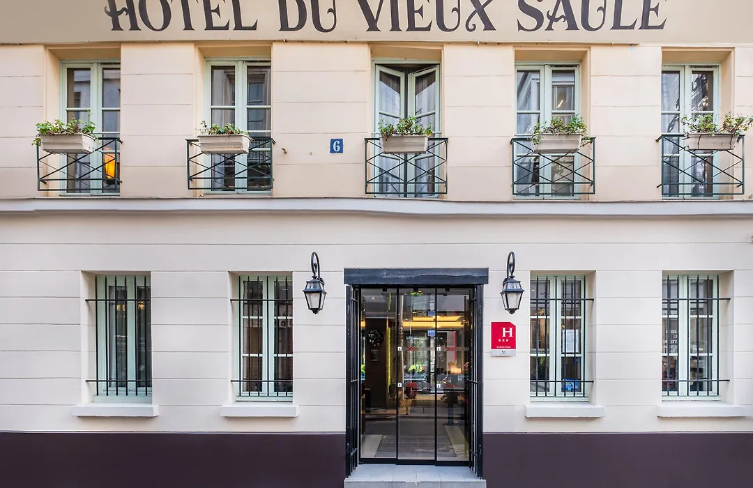 Hotel Du Vieux Saule-1